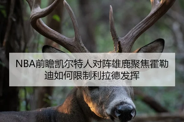 NBA前瞻凯尔特人对阵雄鹿聚焦霍勒迪如何限制利拉德发挥